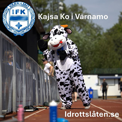 Kajsa ko i Värnamo_400